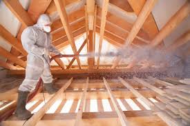 Best Eco-Friendly or Green Insulation Solutions  in East Valley, NV